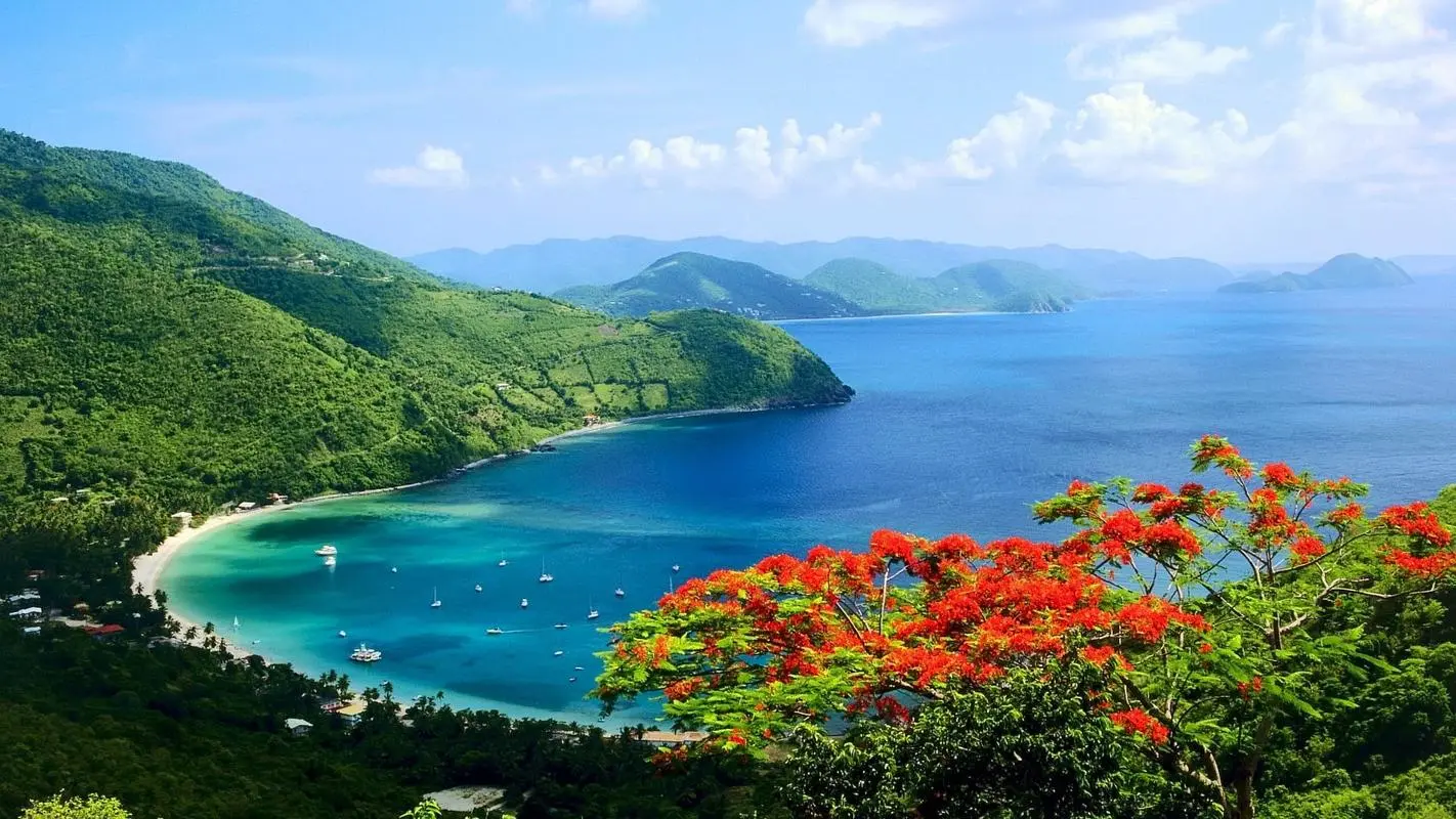节能全自动高端